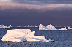 Icebergs at sunrise Cape York Weast Coast of Greenland Icebergs at sunrise Cape York Weast Coast of Greenland