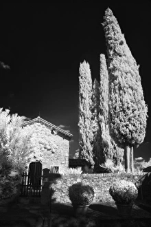 Infra Red Black & White on the Castello Banfi property, Italy Infra Red Black & White on the Castello Banfi property, Italy