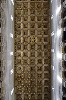 Images Dated 3rd January 2007: Interior of the Duomo: central naves panelled ceilingThe heart of the Campo