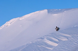 inupiat hunter Jack Kayotuk sleds down a snow bank on his back, Herschel Island inupiat hunter Jack Kayotuk sleds down a snow bank on his back, Herschel Island