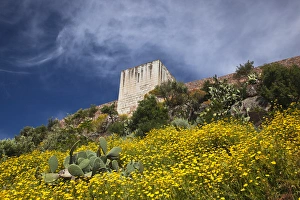 ITALY, Sardinia, Bosa. Cacti and Castello Malaspina ITALY, Sardinia, Bosa. Cacti and Castello Malaspina
