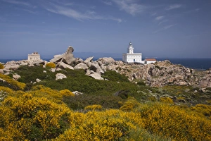 ITALY, Sardinia, Santa Teresa Gallura. Capo Testa lighthouse ITALY, Sardinia, Santa Teresa Gallura. Capo Testa lighthouse