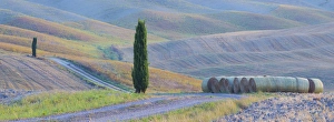 Italy, Tuscany. Hay bales and farm land. Credit as: Gilles Delisle / Jaynes Gallery Italy, Tuscany. Hay bales and farm land. Credit as: Gilles Delisle / Jaynes Gallery