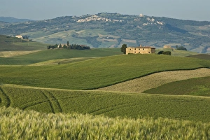 Italy, Tuscany. Springtime landscape near Pienza Italy, Tuscany. Springtime landscape near Pienza