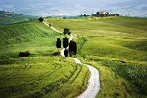 Italy, Tuscany, Val d Orcia. Road to Terrapile farmhouse