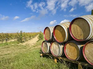 Italy, Tuscany. Wine barrels in a vineyard in Tuscany Italy, Tuscany. Wine barrels in a vineyard in Tuscany
