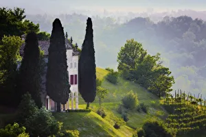 Italy, Veneto, Asolo. Country house and cypress trees Italy, Veneto, Asolo. Country house and cypress trees
