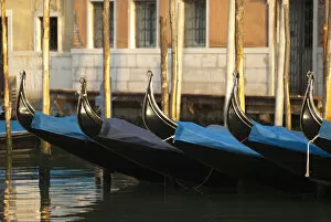 Images Dated 21st May 2011: Italy; Venice. Gondolas along the Grand Canal of Venice
