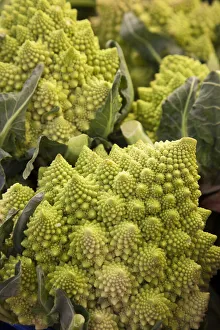 Italy, Venice. Green Romanesco cauliflower on display and for sale in the Rialto Market Italy, Venice. Green Romanesco cauliflower on display and for sale in the Rialto Market