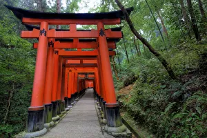 japan-kyoto-torii-gates-
