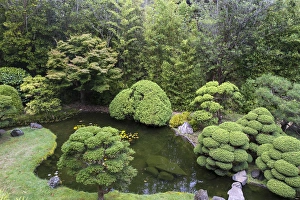 Images Dated 25th August 2014: Japanese Tea Garden, Golden Gate Park, San Francisco, California, United States