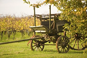 Juanico Winery, Uruguays largest and most award-winning Winery 38km North of of Montevideo Juanico Winery, Uruguays largest and most award-winning Winery 38km North of of Montevideo