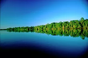 Tropic Gallery: Juruena, Brazil. Forested river bank reflected in the water with no clouds in the sky