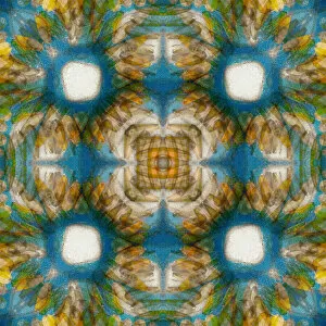 Kaleidoscope abstract