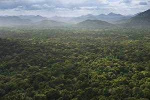 Kanaku Mountains Savanna Rurununi GUYANA South America Kanaku Mountains Savanna Rurununi GUYANA South America