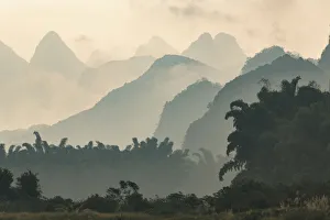 Karst formations and bamboo trees silhouetted in morning mist, Li River at sunrise Karst formations and bamboo trees silhouetted in morning mist, Li River at sunrise