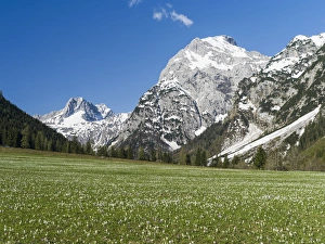 The Karwendel Mountain Range near Gramai in valley Falzthurntal during spring close The Karwendel Mountain Range near Gramai in valley Falzthurntal during spring close