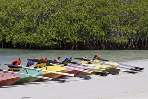 Kayaks at Tortuga Bay, Santa Cruz Island, Galapagos Islands Kayaks at Tortuga Bay, Santa Cruz Island, Galapagos Islands