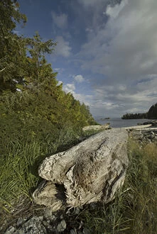 Barkley Sound Gallery: Keith Island, Broken Island Group, Pacific Rim National Park Preserve, British Columbia