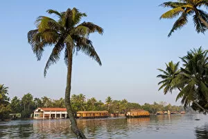 Images Dated 19th December 2013: Kerala backwaters nr Alleppey (Alappuzha), Kerala, India