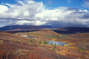 kettle ponds and fall colors in Denali National Park, interior of Alaska kettle ponds and fall colors in Denali National Park, interior of Alaska