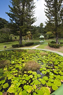 Kingstown Botanical gardens, St. Vincent & The Grenadines Kingstown Botanical gardens, St. Vincent & The Grenadines