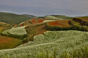 Images Dated 21st September 2013: Kunming Dongchuan Red Land area landscape of crop land and rolling hills