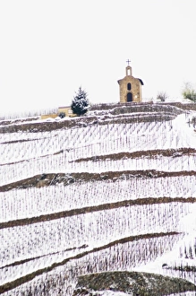 The La Chapelle chapel on top of the hill and hermitage vineyard. The Hermitage vineyards The La Chapelle chapel on top of the hill and hermitage vineyard. The Hermitage vineyards