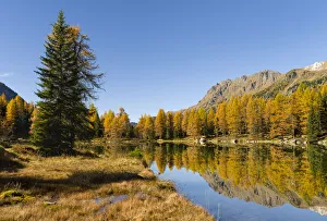 Lago San Pellegrino (Lech de San Pelegrin) during fall at Passo San Pellegrino in the Lago San Pellegrino (Lech de San Pelegrin) during fall at Passo San Pellegrino in the