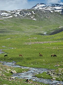 Landscape at the Otmok mountain pass in the Tien Shan or heavenly mountains, Kyrgyzstan Landscape at the Otmok mountain pass in the Tien Shan or heavenly mountains, Kyrgyzstan