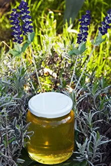 Lavender honey in jar and lavender plant