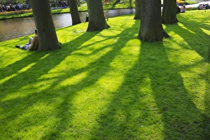 Lawn in Keukenhof Gardens, Amsterdam, Netherlands Lawn in Keukenhof Gardens, Amsterdam, Netherlands