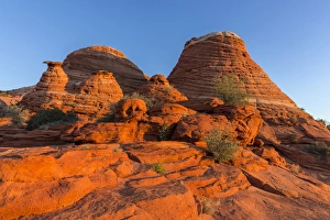 Layered sandstone and desert wildflowers in the Vermillion Cliffs Wilderness, Arizona Layered sandstone and desert wildflowers in the Vermillion Cliffs Wilderness, Arizona