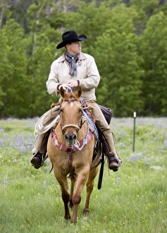 Lee Ranch Cowboy Lee Ranch Cowboy