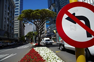 No left turn sign, Flowers and office buildings, Lambton Quay, Wellington, North Island No left turn sign, Flowers and office buildings, Lambton Quay, Wellington, North Island