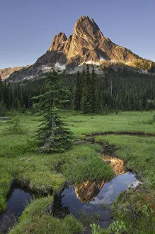 Liberty Bell Mountain reflected in still waters of State Creek, in meadows of, Washington Pass Liberty Bell Mountain reflected in still waters of State Creek, in meadows of, Washington Pass
