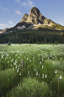 Liberty Bell Mountain seen from meadows of Washington Pass, North Cascades, Washington Liberty Bell Mountain seen from meadows of Washington Pass, North Cascades, Washington