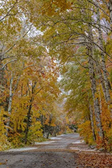 Light snowfall on Wyoming Road near Copper Harbor in the Upper Peninsula of Michigan, USA Light snowfall on Wyoming Road near Copper Harbor in the Upper Peninsula of Michigan, USA