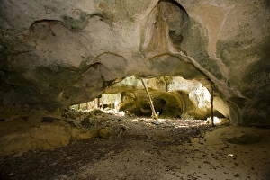 Limestone cave, Cayman Brac, Cayman Islands, Caribbean Limestone cave, Cayman Brac, Cayman Islands, Caribbean