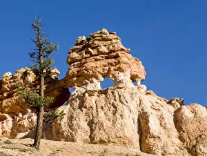 Limestone formation. Bryce Canyon National Park. Utah. US