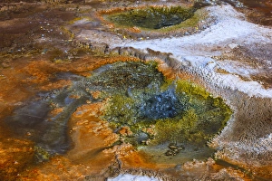 Located in the vast pools of geothermal activity at El Tatio, chemicals deep in the Located in the vast pools of geothermal activity at El Tatio, chemicals deep in the