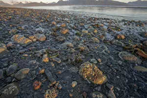 Images Dated 12th August 2007: Low tide at sunrise. Lands End. Homer. Alaska