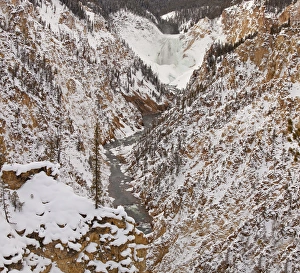 Lower Yellowstone Falls in winter in Yellowstone National Park Lower Yellowstone Falls in winter in Yellowstone National Park