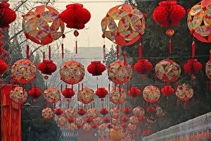 Images Dated 21st January 2009: Lucky Red Lanterns Chinese New Year Decorations Ditan Park Beijing China. During Lunar New Year