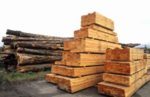 Lumber forestry industry at sawhill pulp plant in Quesnel British Columbia Canada Lumber forestry industry at sawhill pulp plant in Quesnel British Columbia Canada