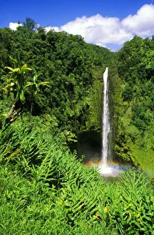 Lush vegetation framing Akaka Falls, Akaka Falls State Park, The Big Island, Hawaii, USA Lush vegetation framing Akaka Falls, Akaka Falls State Park, The Big Island, Hawaii, USA