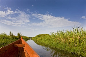 The Mabamba wetlands near Kampala are famous for the shoebill population. Dugout canoe The Mabamba wetlands near Kampala are famous for the shoebill population. Dugout canoe