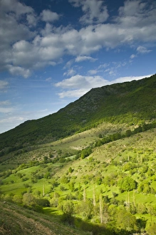 MACEDONIA, Pelister National Park, Maloviste Village. Old Vlach mountain village-Spring MACEDONIA, Pelister National Park, Maloviste Village. Old Vlach mountain village-Spring
