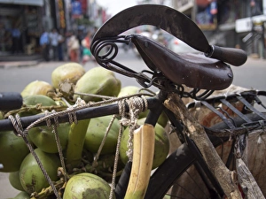 A machete and a group of coconuts sit inside a bicycle in Bangalore, Karnataka, India A machete and a group of coconuts sit inside a bicycle in Bangalore, Karnataka, India