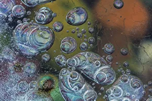Macro of bubbles forming under ice along the edge of Lake McDonald in Glacier National Macro of bubbles forming under ice along the edge of Lake McDonald in Glacier National